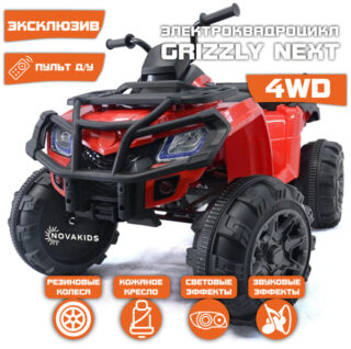 Детский квадроцикл Grizzly Next Red 4WD BDM0909-Red-4RC
